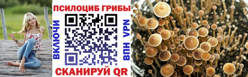 Галлюциногенные грибы MAGIC MUSHROOMS  даркнет наркотические препараты  Циолковский 